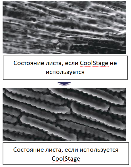 EM-40-08.png