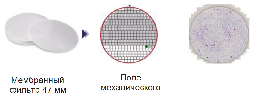 EM-40-06.png