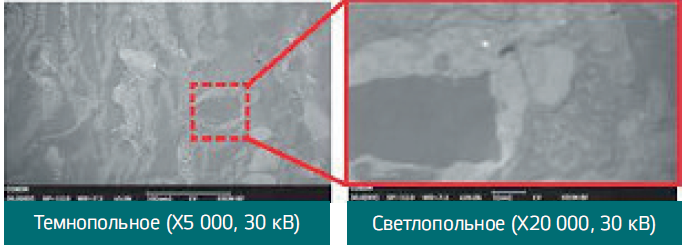 5.PNG