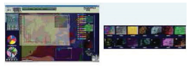 ris9.PNG