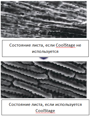 CX-300-02.png