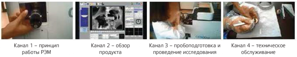 ris4.PNG